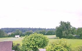 Easy-Living Buholz Hoch 12